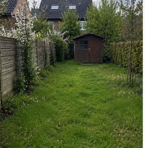 Garten vor der Pflege: ungepflegter Rasen und zugewachsene Beete